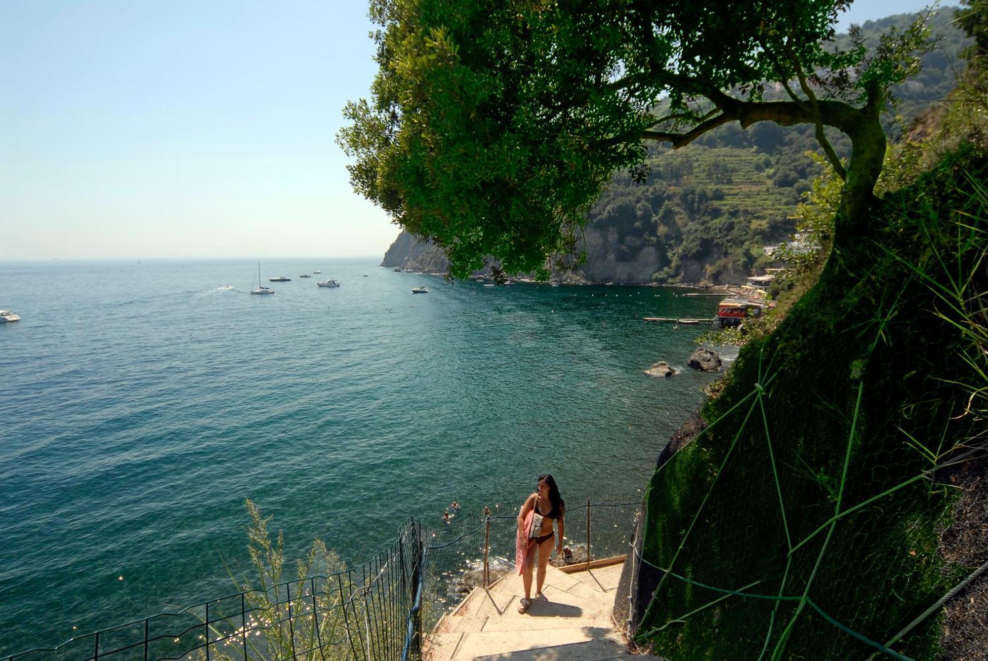Hotel Giardino Delle Ninfe E La Fenice Ischia